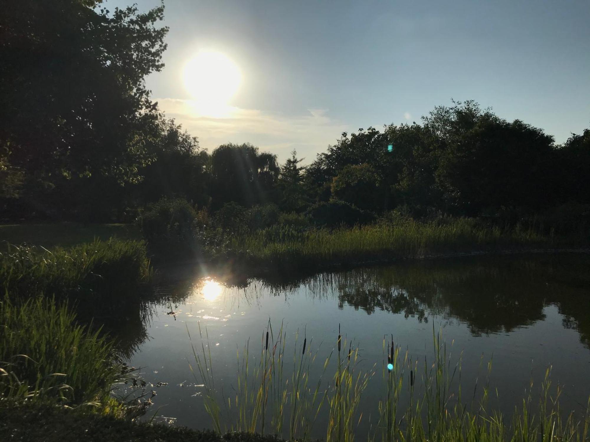 Imagine B&B Wortegem Buitenkant foto