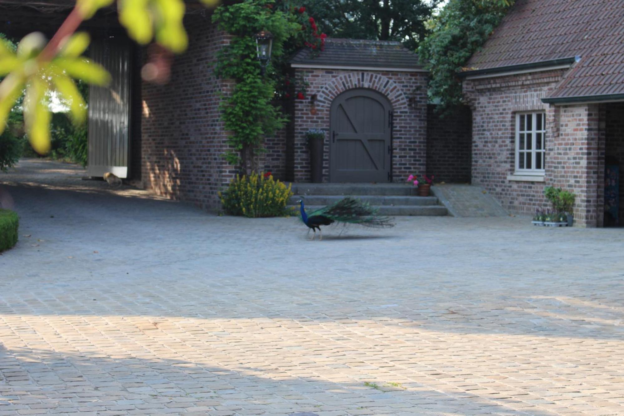 Imagine B&B Wortegem Buitenkant foto